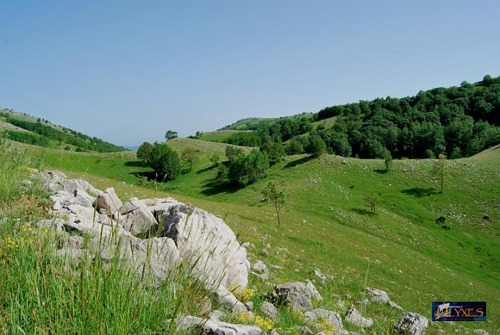 le colline di sassano.JPG
